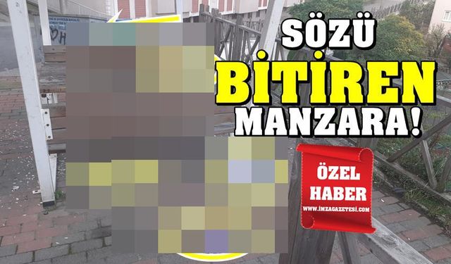 Zonguldak'ın ilçesinde gençlere yakışmayacak hareket!