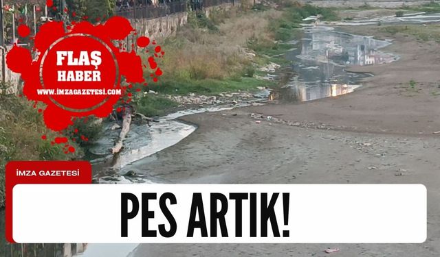 Zonguldak'ın ilçesine yakışmayan görüntü!