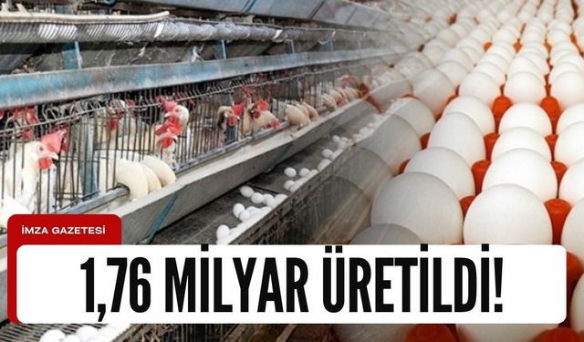 Zonguldak'ın üretimine dahil olduğu yumurta üretimi 1,76 olarak belirlendi!