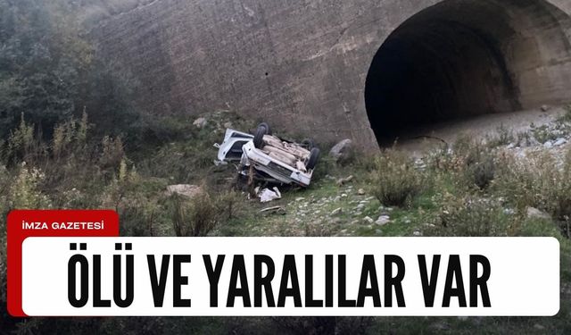 Dere yatağına düşen otomobilde can pazarı!