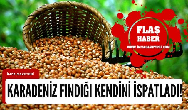 İtalyanlar Karadeniz fındığına muadil bulamadı! Milyonluk proje çöp oldu