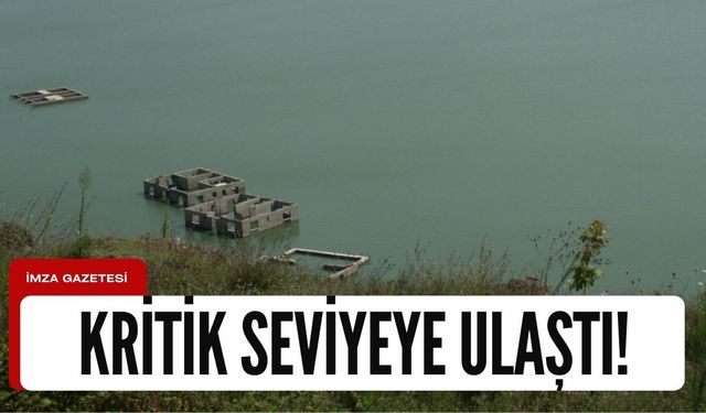 Küresel ısınma Türkiye'yi vurdu! Ereğli susuz mu kalacak?