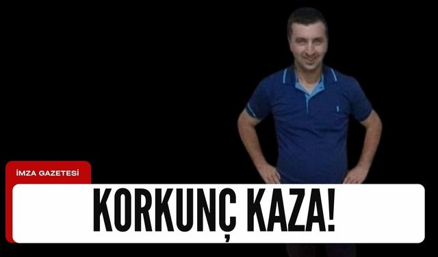 46 yaşındaki adam ağaçtan düştü!