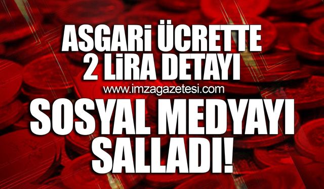 Asgari ücrette 2 lira detayı sosyal medyayı salladı!