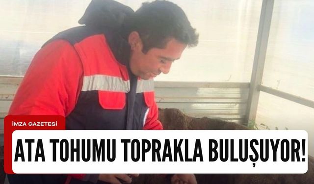 Ata tohumu toprakla buluşuyor!