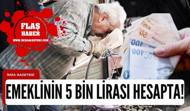 Çalışan emeklilere 5 bin lira destek ödemesi hesaplara yatırılmaya başlandı!