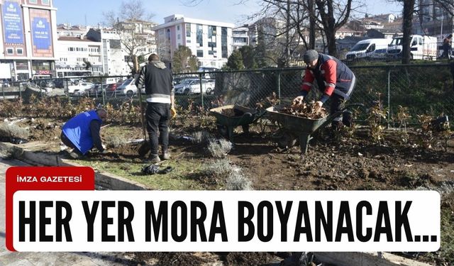 Ereğli mora boyanacak...