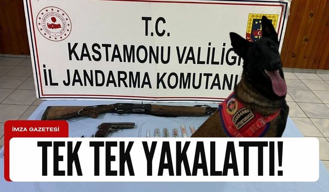 Hassas burunlu narkotik köpeği çeşitli uyuşturucu yakalattı!