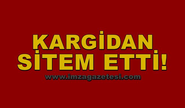 Kargidan sitem etti!