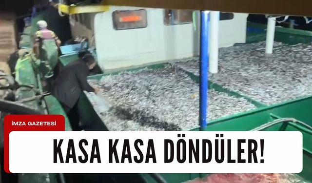 Balıkçılar kasa kasa döndüler...