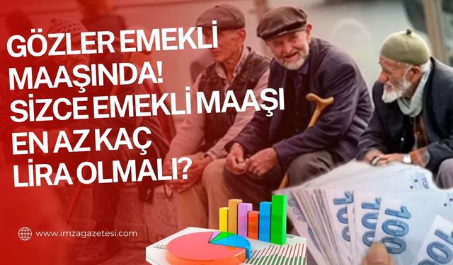 Asgari Ücret 17 Bin 2 TL Oldu: Emeklilerin Beklentisi Arttı, Peki Emekli Maaşı Ne Kadar Olmalı?