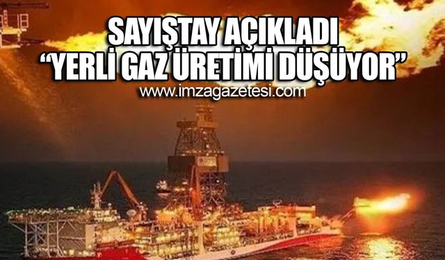 Sayıştay: Yerli gaz üretimi düşüyor!