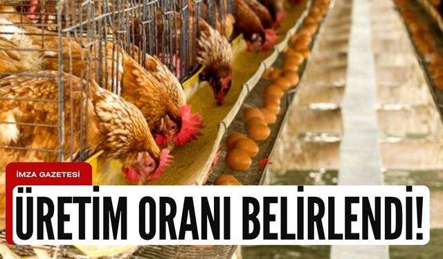 Tavuk eti ve yumurtası üretim oranı belirlendi!