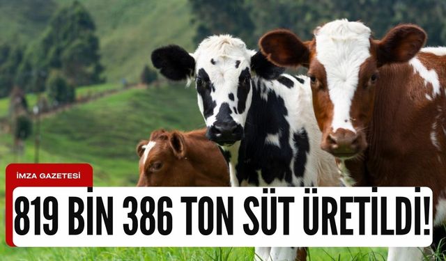 Ticari süt işletmeleri 819 bin 386 inek sütü topladı!