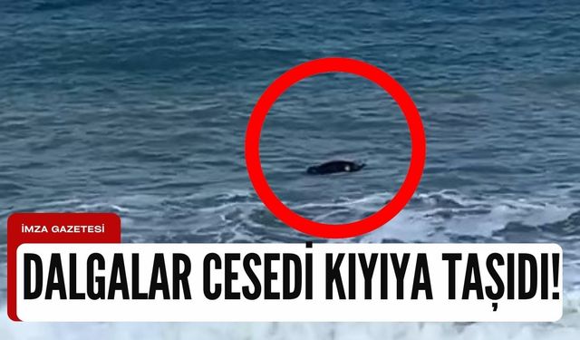 Vatandaşların ihbarıyla ortaya çıktı! Deniz kıyısında ceset!