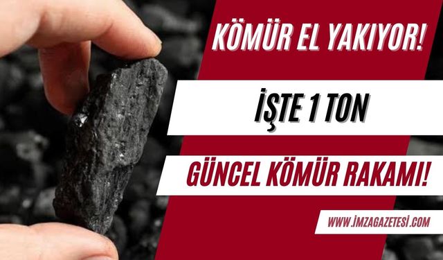 Kömür el yakıyor! 1 ton kömür ne kadar oldu?