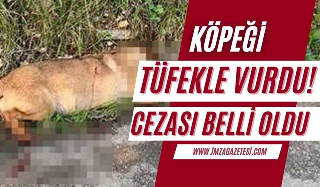 Sokak köpeğini tüfekle vurdu! Can çekişen hayvana aldırmadı!