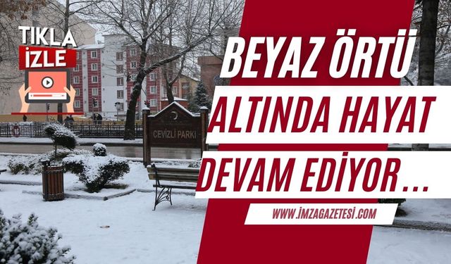 Kastamonu'da beyaz örtü altında hayat devam ediyor... Tedbirler hız kesmiyor!