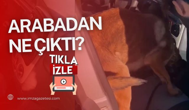 Kastamonu'da narkotik köpeği 'Ceku' ile uyuşturucu operasyonu!