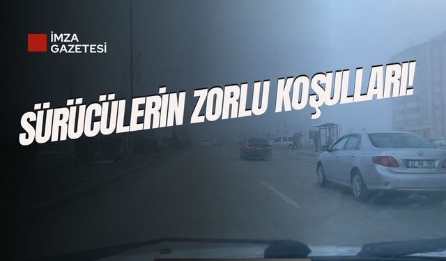 Kastamonu'da yoğun sis nedeniyle zorlu hava koşulları!