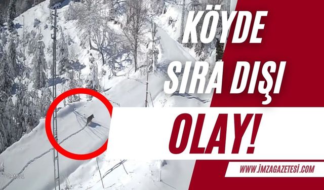 Köyde sıra dışı olay güvenlik kamerasına yansıdı!