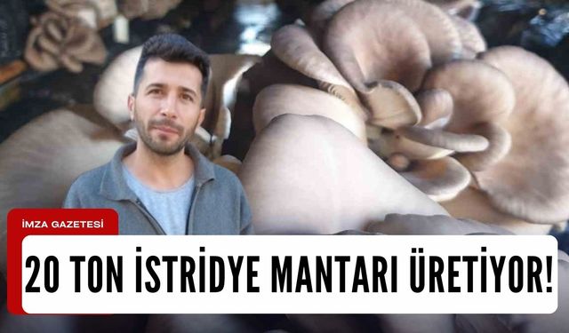 Köyünde kurduğu serada tek başına 20 ton istiridye mantarı üretiyor!