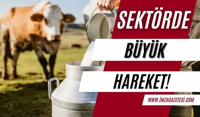 Türkiye'de süt sektöründe büyük hareket!