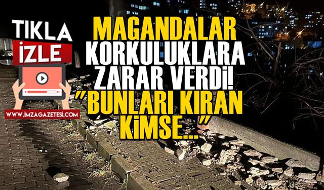 Vatandaşın vatandaşa isyanı... "Bunları kıran kimse... İşte siz beni anladınız"