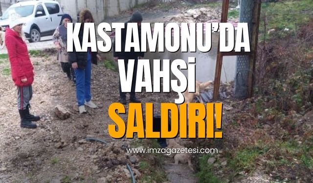 Kastamonu’da vahşi kaldırı! Tüfekle vurmuşlar