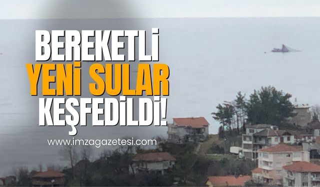 Zonguldak'ın balıkçıları yeni bereketli sular keşfetti!