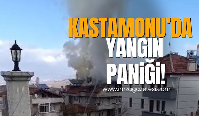 Kastamonu'da yangın paniği köyü sardı!