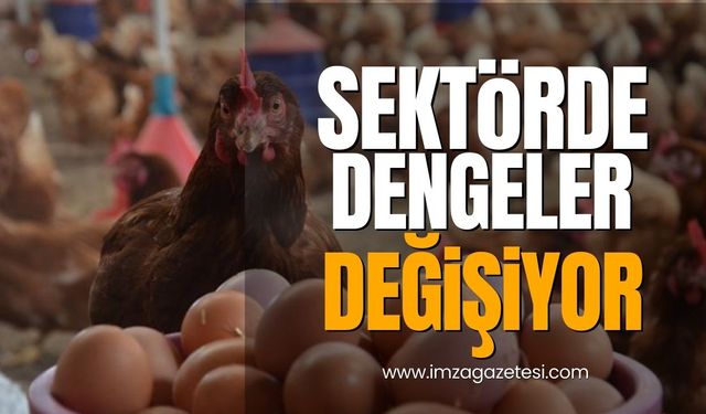 Türkiye'de kümes hayvancılığı sektöründe dengeler değişiyor!