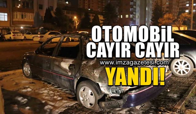 Park halindeki araç cayır cayır yandı