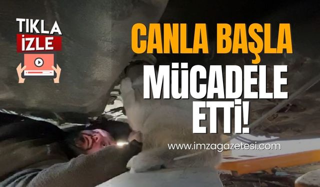 Esnaf yavru köpeğin imdadına yetişti!