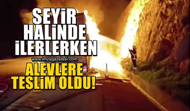 Seyir halinde ilerleyen tır alevlere teslim oldu!