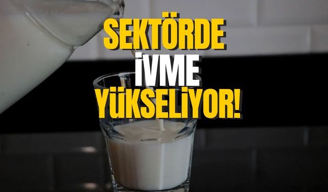 TÜİK açıkladı! Sektörde ivme yükseliyor...