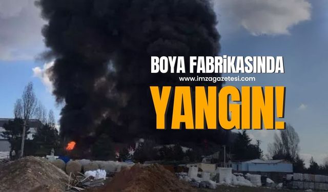 Yangın Faciası Gebze'yi Sardı: Kimya Fabrikasında Alev Topları Yükseliyor!