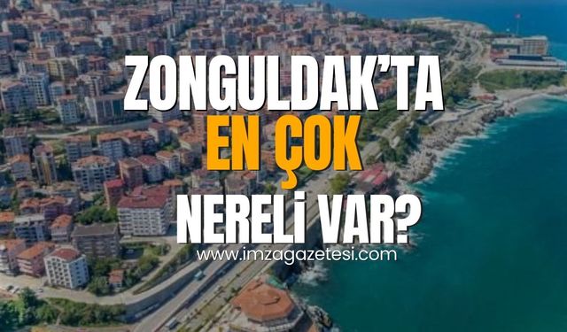 Zonguldak'ta en çok nereli var?