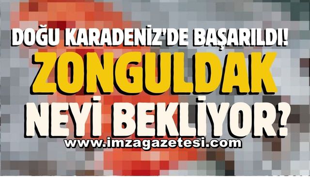Doğu Karadeniz'de başarıldı! Binlerce kişi istihdam edilecek! Girişimde bulunan Zonguldak neyi bekliyor?