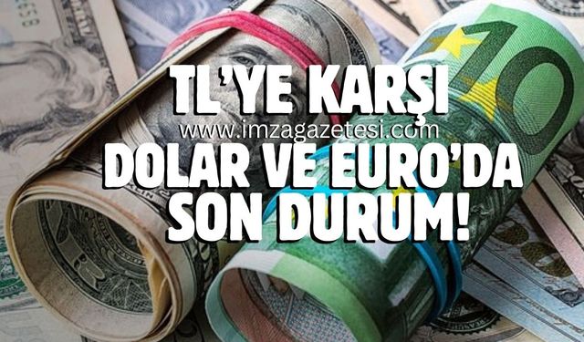 TL'ye Karşı Dolar ve Euro'da son durum! Dolar kuru en son ne kadar oldu?
