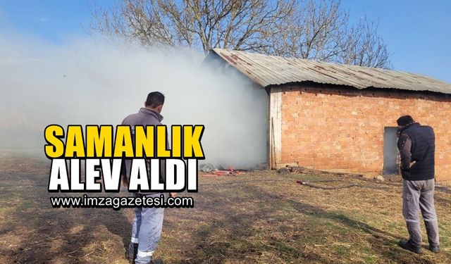 Samanlık alevlere teslim oldu