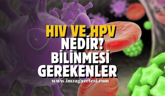 Sosyal Medyayı Sallamıştı! HIV ve HPV Virüsü Hakkında Bilmeniz Gerekenler...