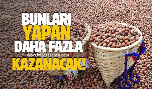 Zonguldak, Bartın, Kastamonu, Trabzon, Ordu, Giresun'daki fındık üreticisi bunları yaparsa daha çok kazanacak!