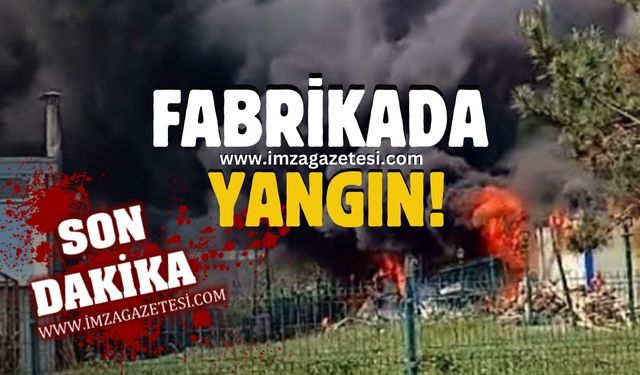 Fabrika Bahçesinde Yangın Paniği: Konteyner Alev Alev!