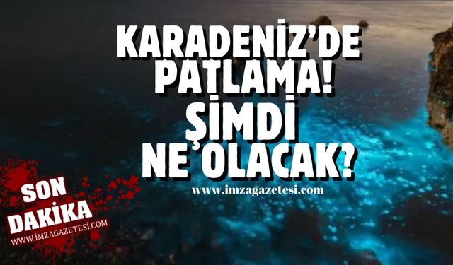 Batı ve Orta Karadeniz'de plankton patlaması! Deniz turkuaza döndü, şimdi ne olacak?