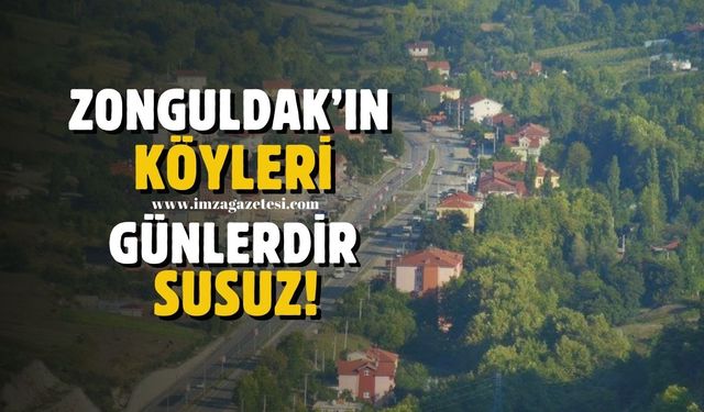 Zonguldak'ın merkez köyleri günlerdir susuz!