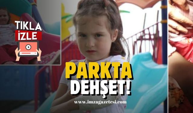 Parkta dehşet! Korku dolu anlar yaşandı...