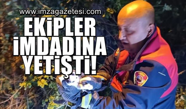 Ağaçların arasına sıkıştı, ekipler imdadına yetişti