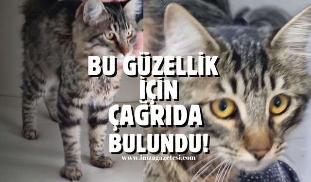 Bu güzellik için çağrıda bulundu!