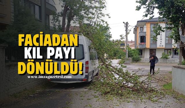 Ağaçlar fırtınaya dayanamadı! Faciadan kıl payı dönüldü